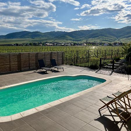 Gite Proche Colmar Vignoble Wettolsheim Exterior foto